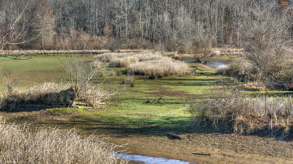 _DSC6637-Edit.jpg