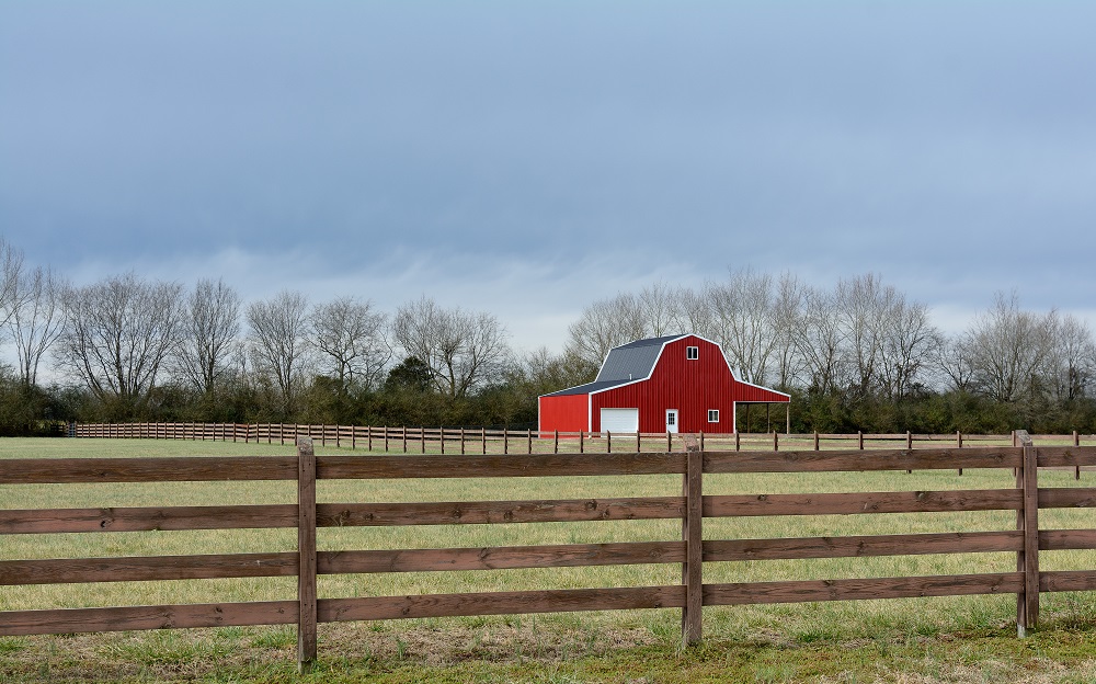 _DSC6646-Edit.jpg