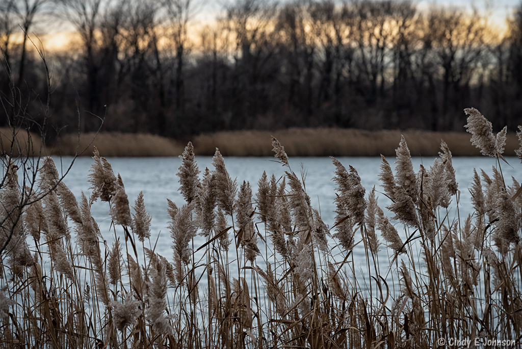 _DSC6677 low res.jpg