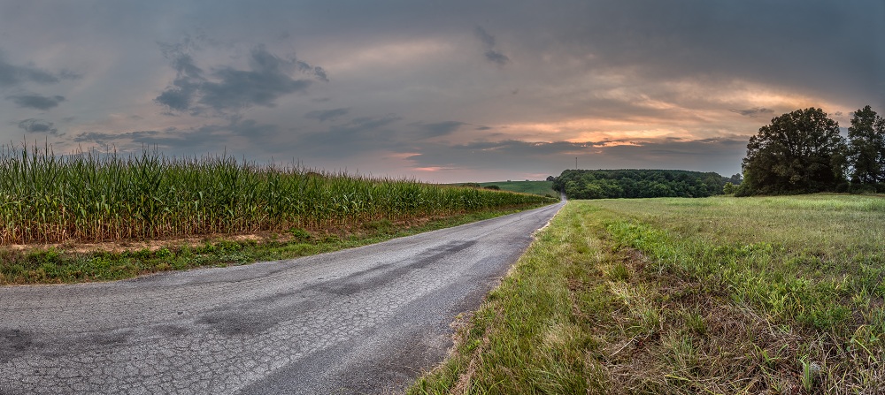 _DSC6709-Edit.jpg