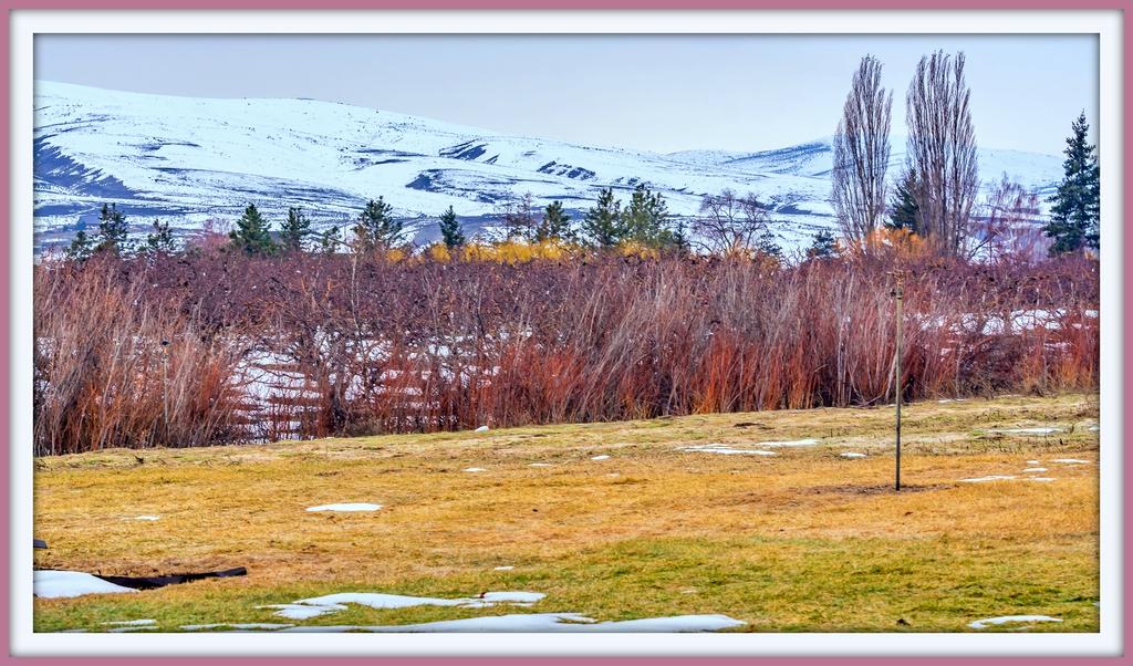 _DSC6733-HDR.jpg
