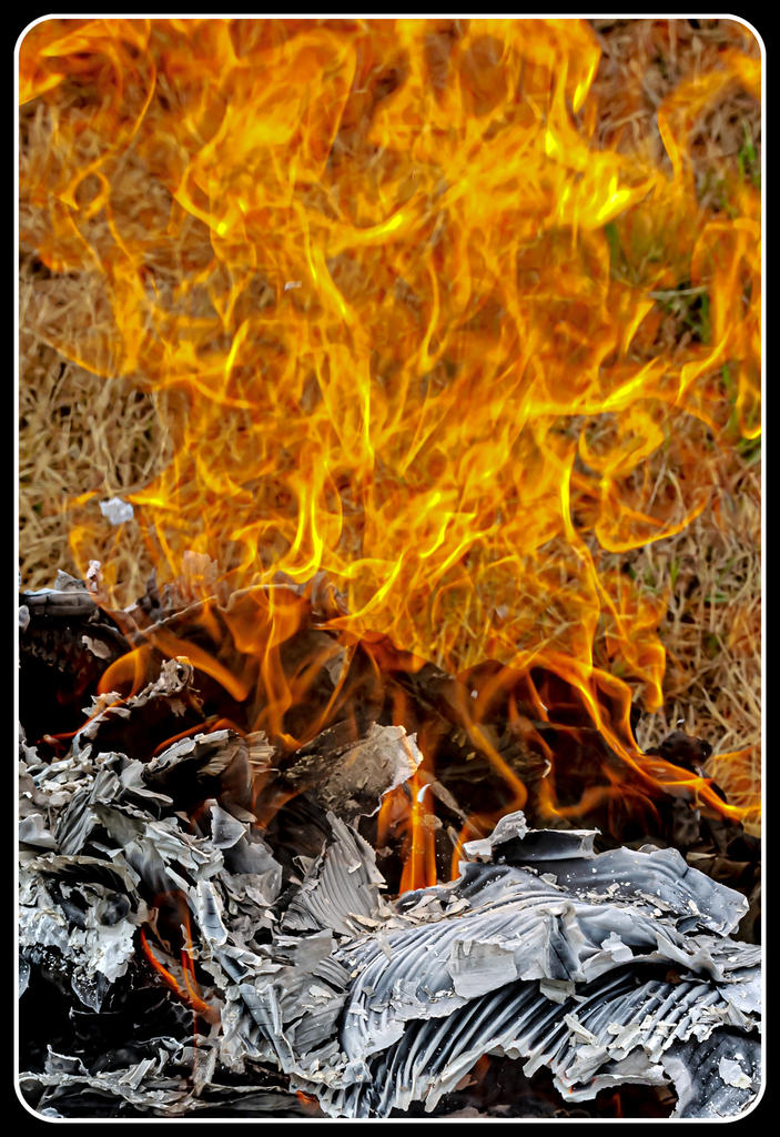 _DSC6756-Edit.jpg