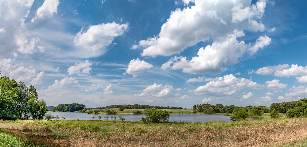 _DSC6759_stitch-Edit-2.jpg