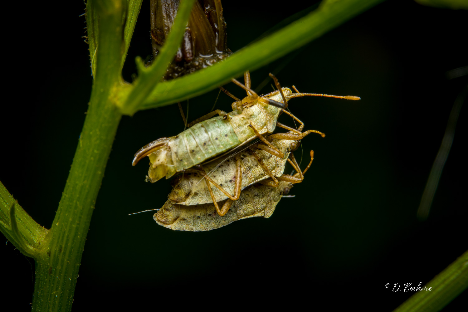 _DSC6816-SharpenAI-Focus.jpg