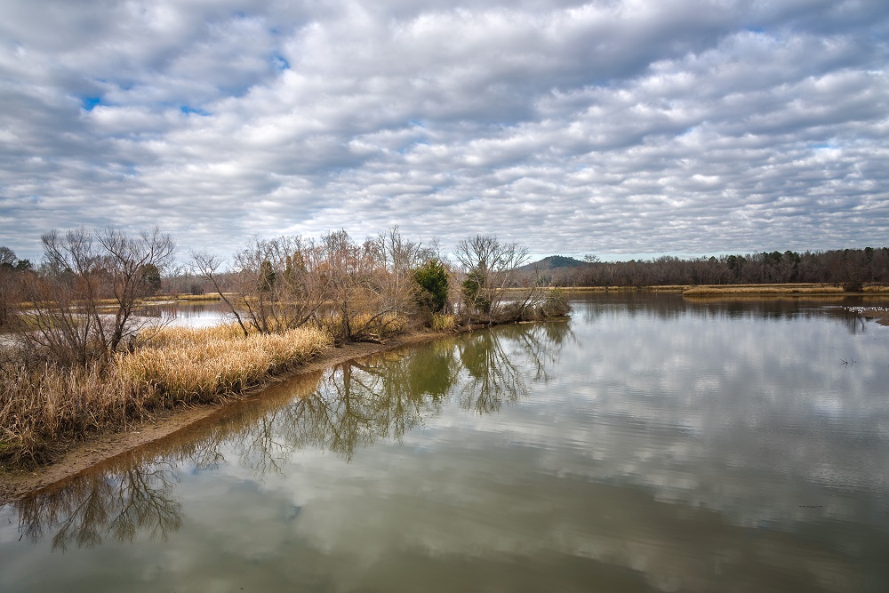 _DSC6825-Edit.jpg