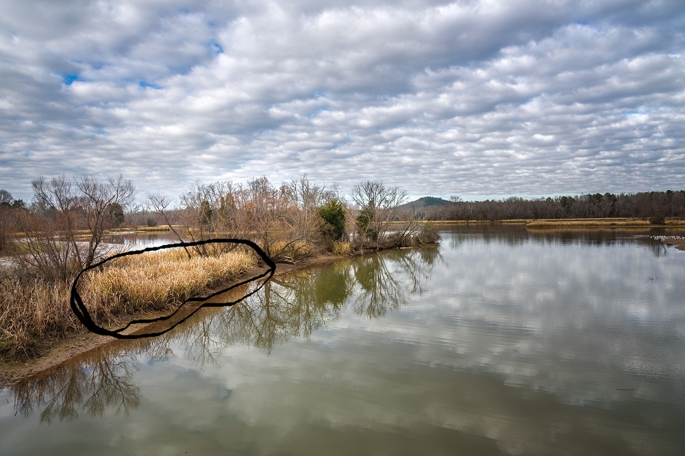_DSC6825---Edit.jpg