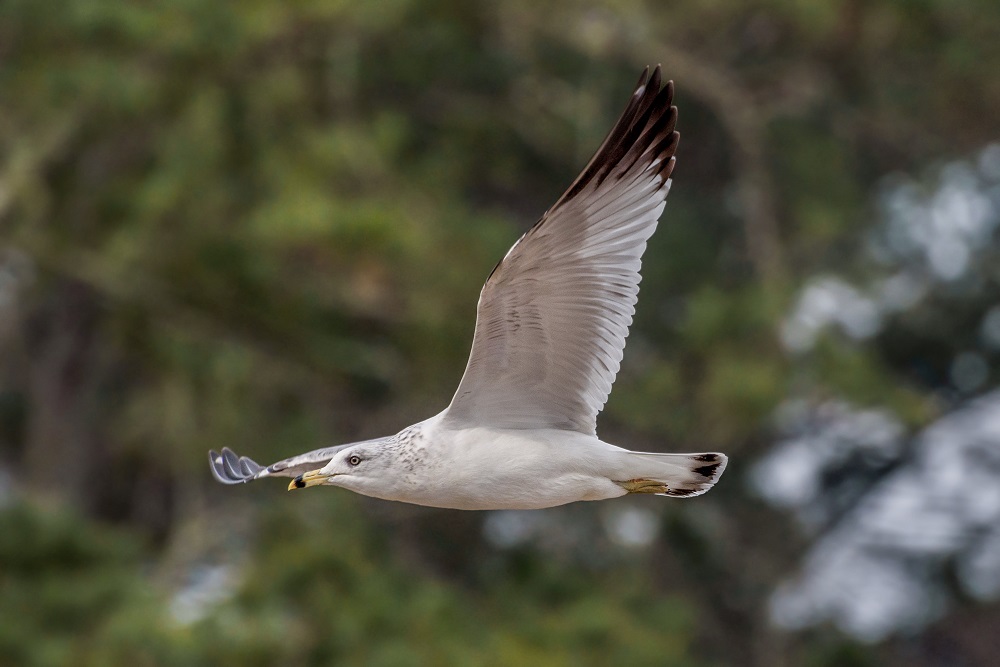 _DSC6851-Edit.jpg