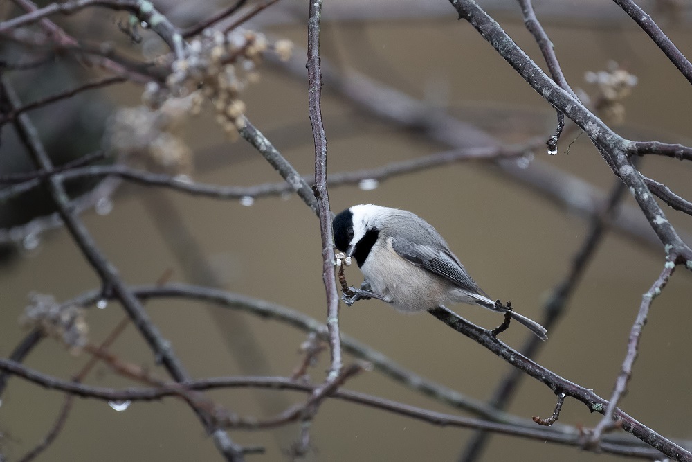 _DSC6926-Edit.jpg