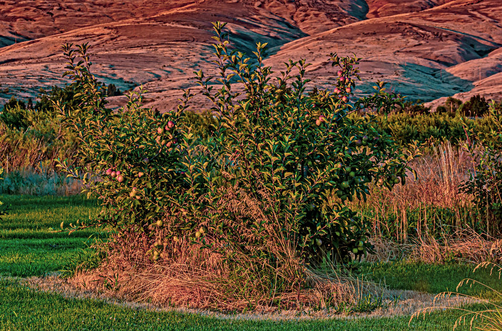 _DSC6932-Edit.jpg