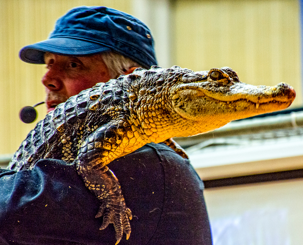 _DSC6935-Edit.jpg