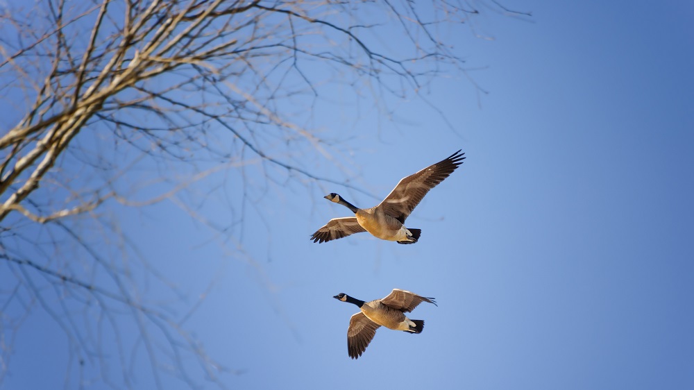 _DSC6947-Edit.jpg