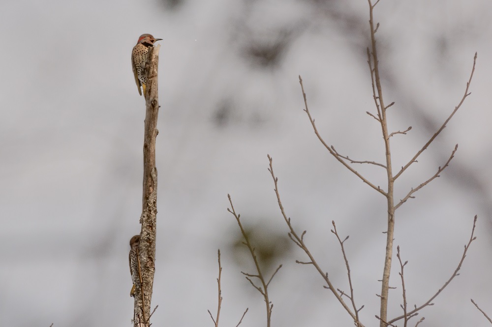 _DSC6948-Edit.jpg