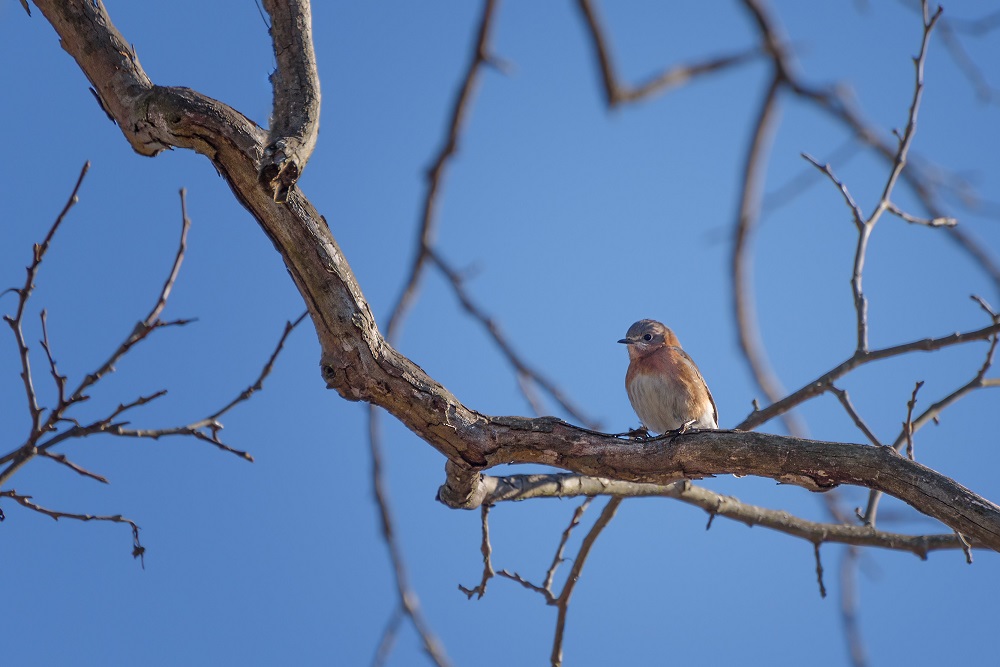 _DSC6972-Edit.jpg