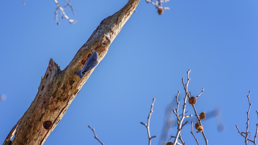 _DSC6975-Edit.jpg