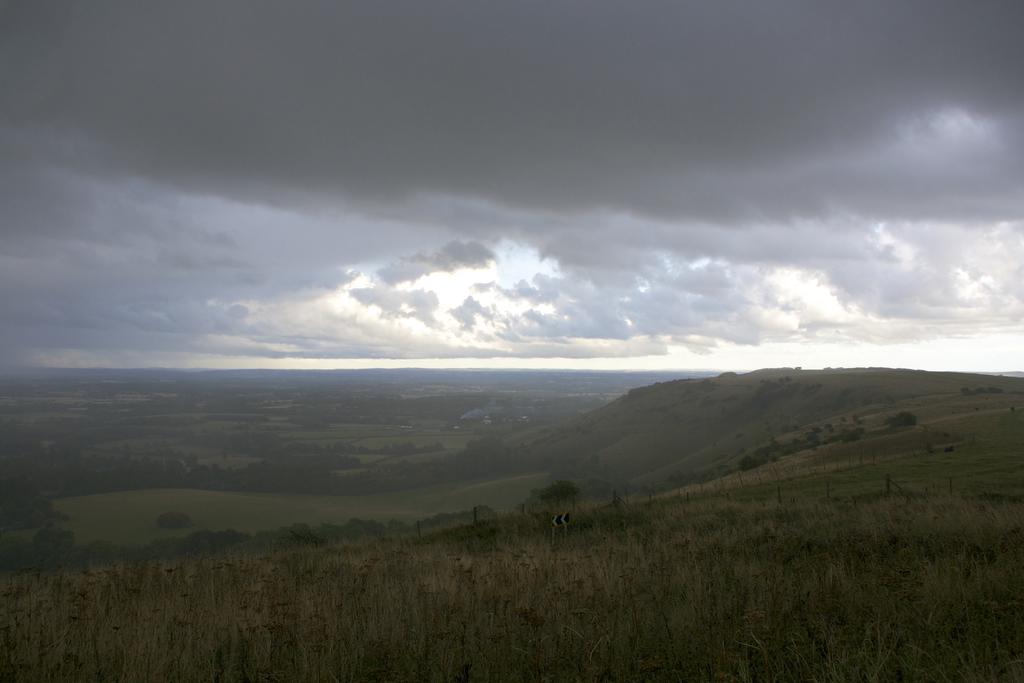 _DSC6977.jpg