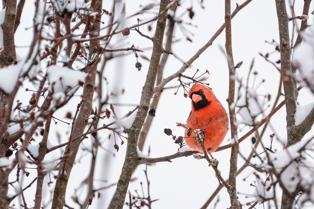 _DSC6980-Edit.jpg
