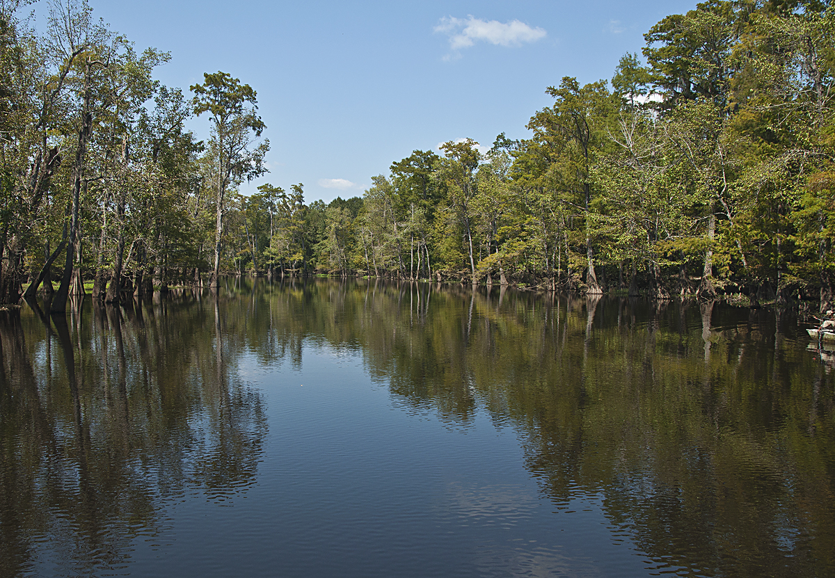 _DSC6986.jpg