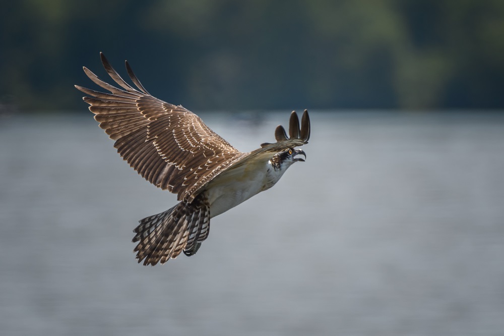 _DSC7067-Edit.jpg