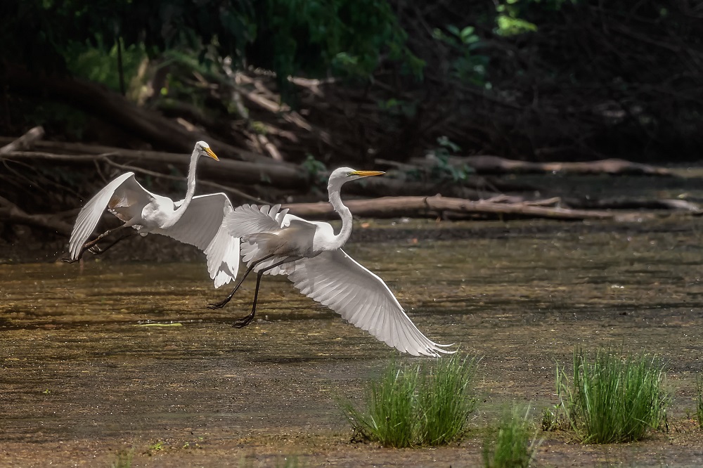 _DSC7128-Edit.jpg