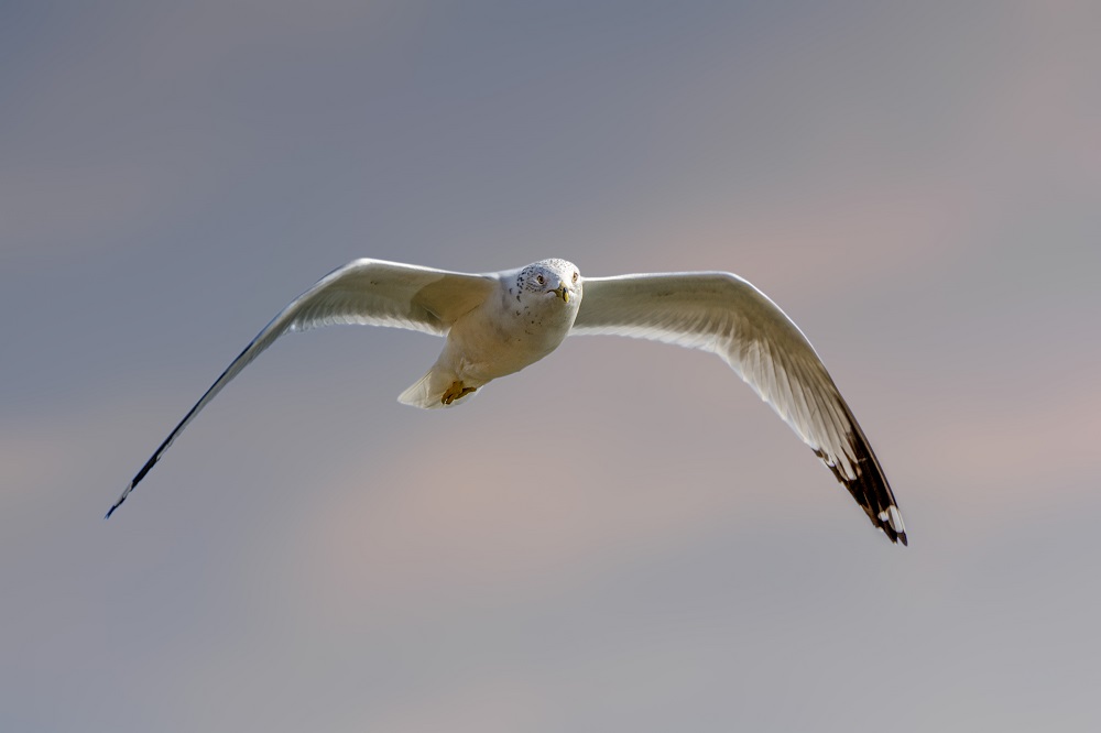 _DSC7216-Edit.jpg