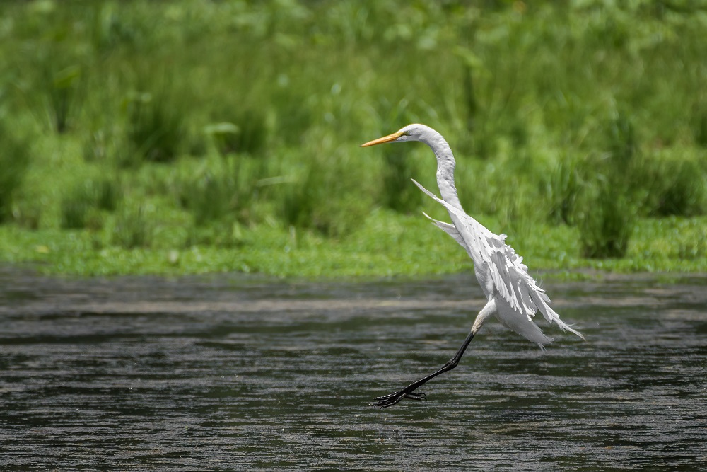 _DSC7258-Edit.jpg