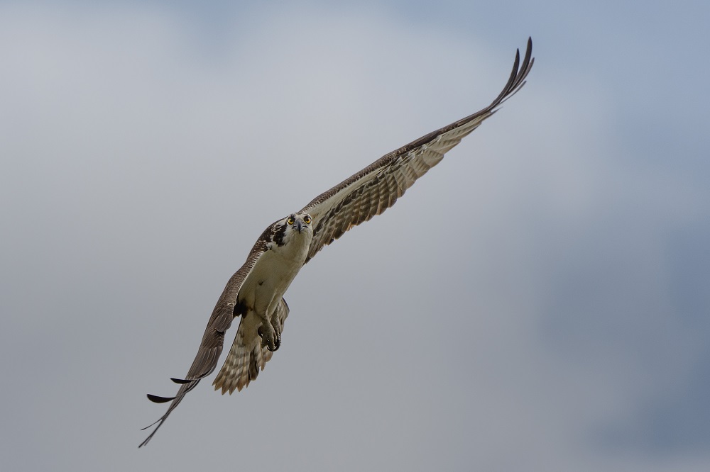_DSC7280-Edit.jpg
