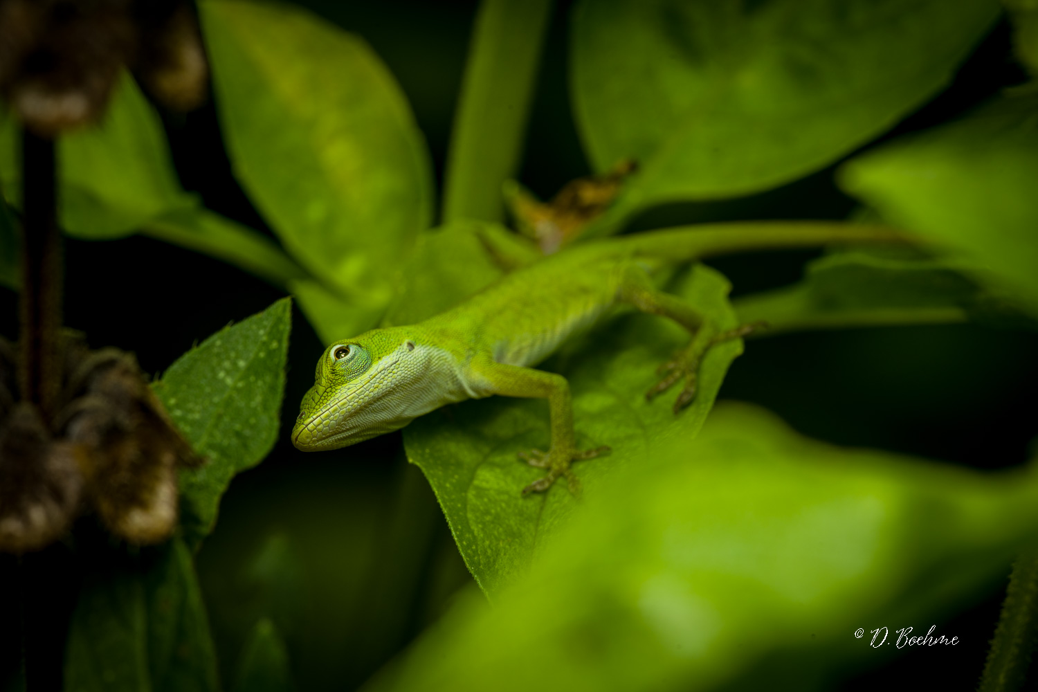 _DSC7425-SharpenAI-Motion.jpg
