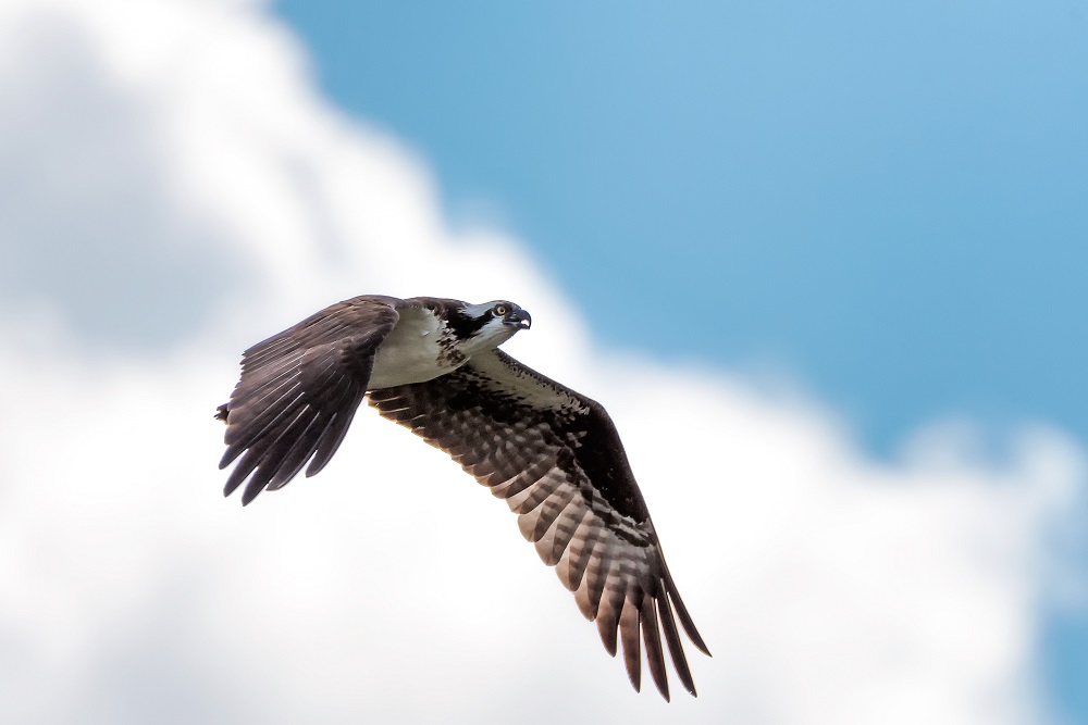 _DSC7457-Edit.jpg