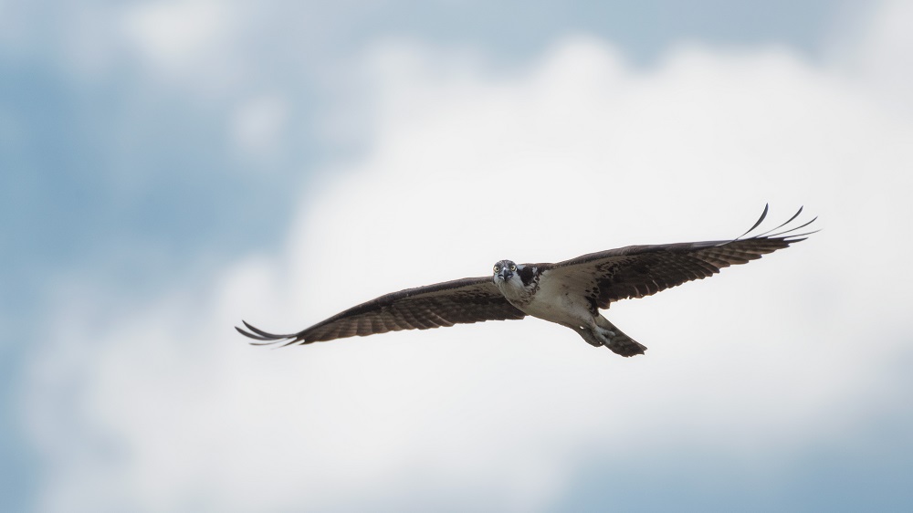 _DSC7473-Edit.jpg