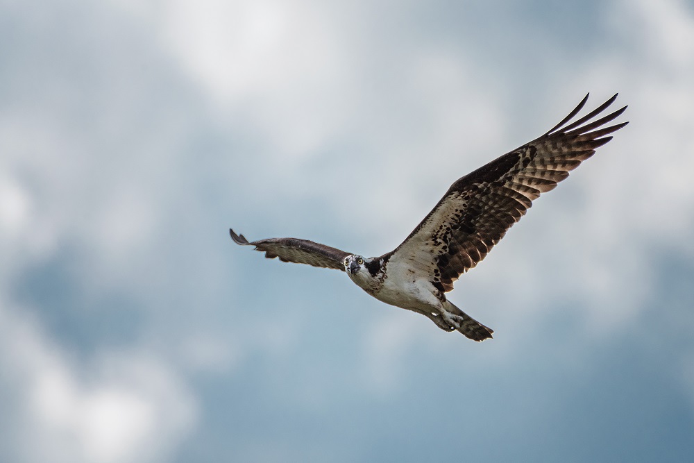 _DSC7476-Edit.jpg