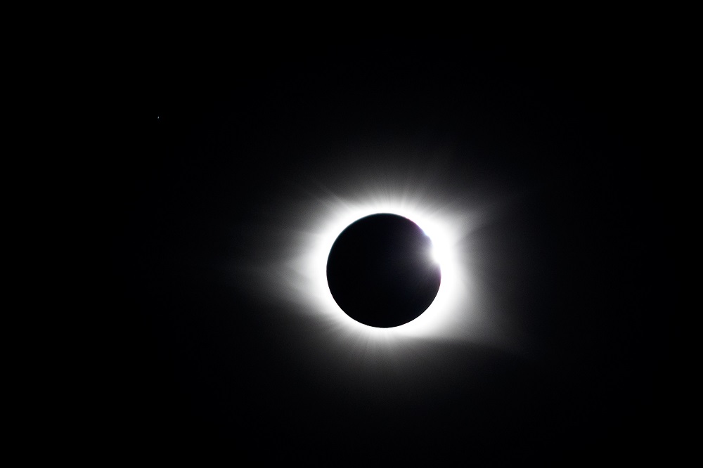 _DSC7481.jpg