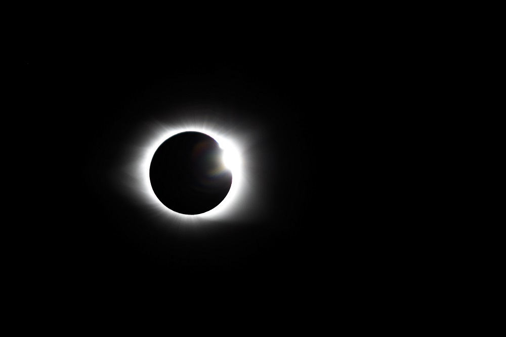 _DSC7484.jpg