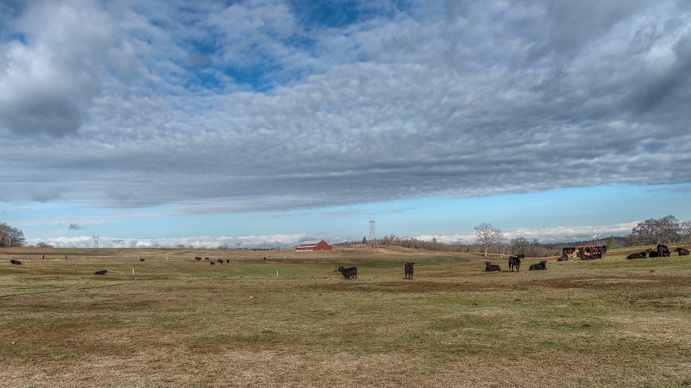 _DSC7533-Edit.jpg