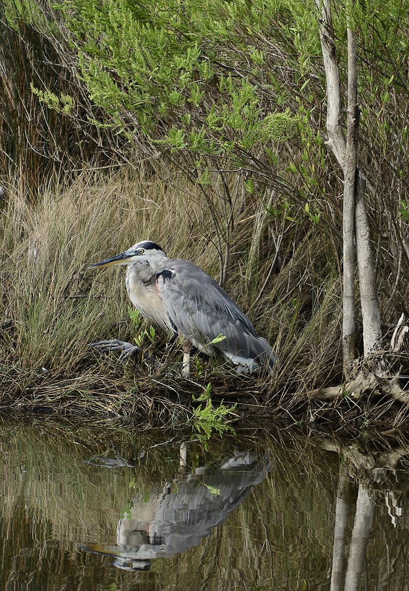 _DSC7574.jpg
