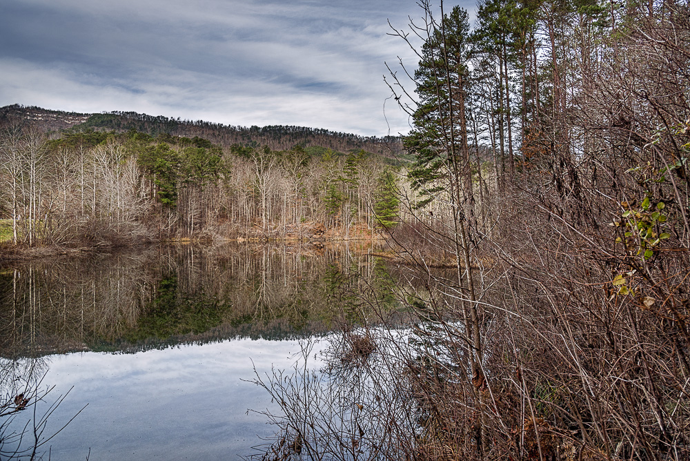 _DSC7613-Edit.jpg