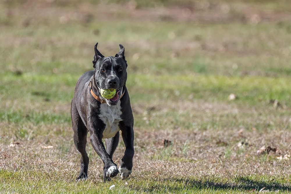 _DSC7625-Edit.jpg