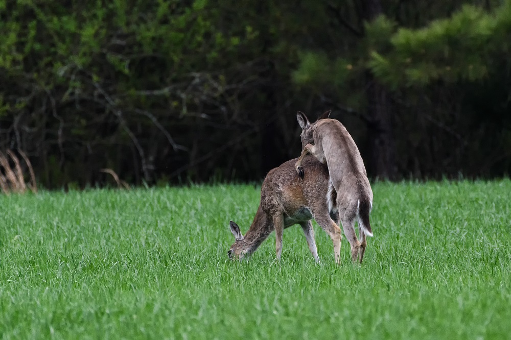 _DSC7638-Edit.jpg