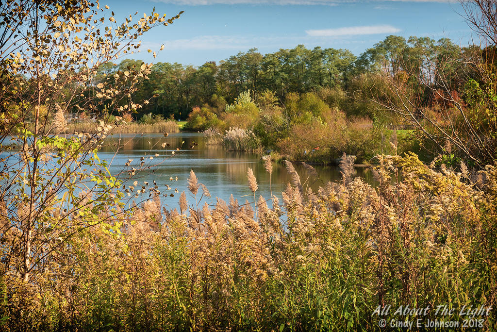_DSC7646 sRGB low res.jpg