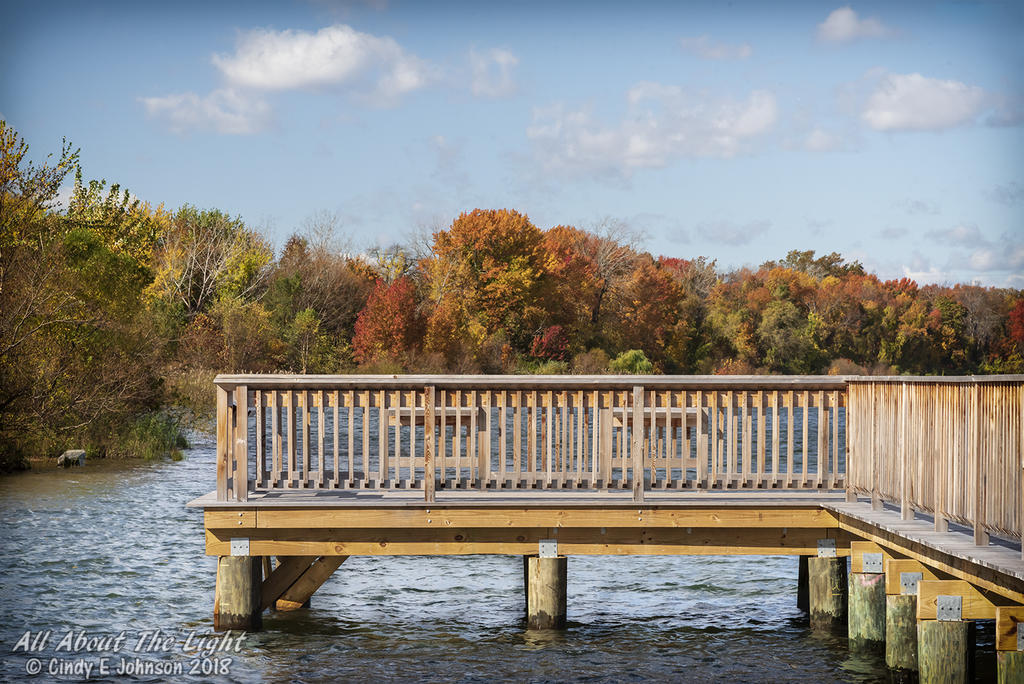 _DSC7660 - Copy low res.jpg