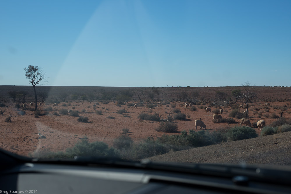 _DSC7677.jpg