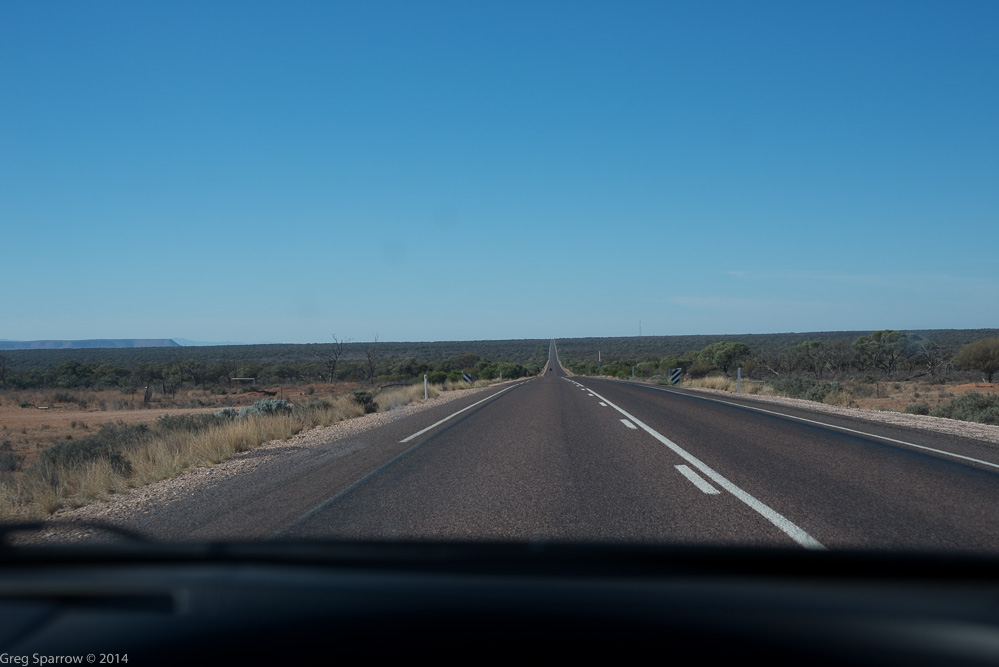 _DSC7679.jpg