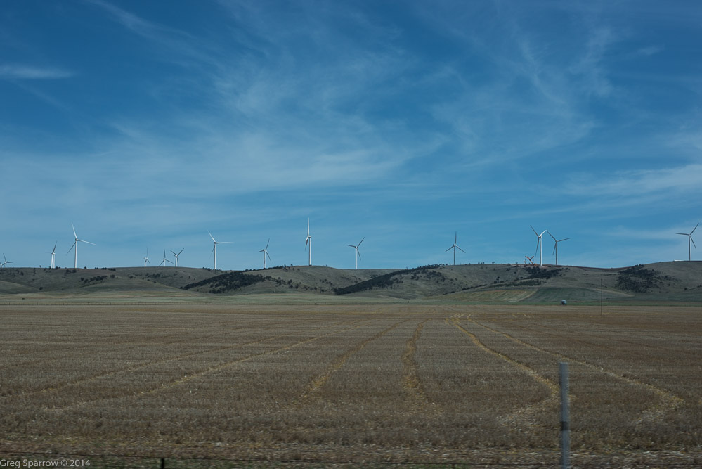_DSC7689.jpg