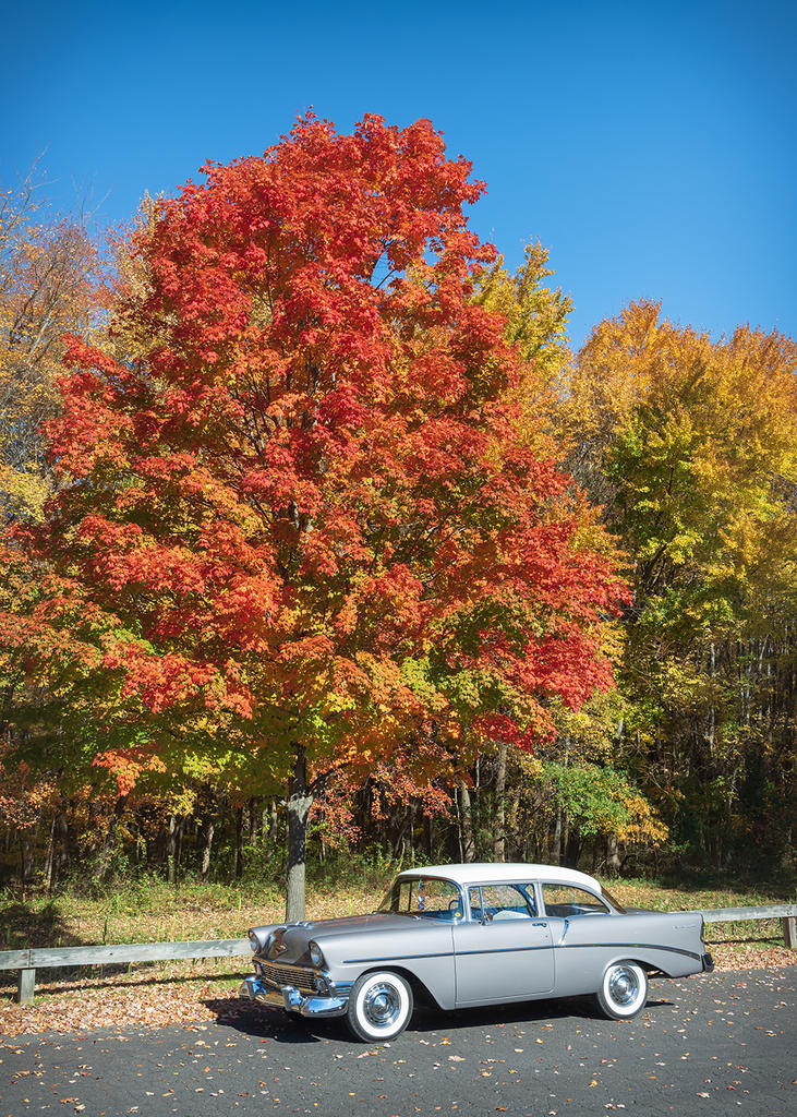 _DSC7695 LOWRES.jpg