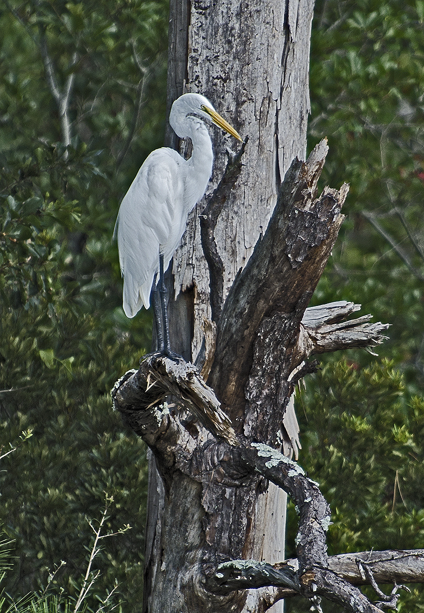 _DSC7734.jpg