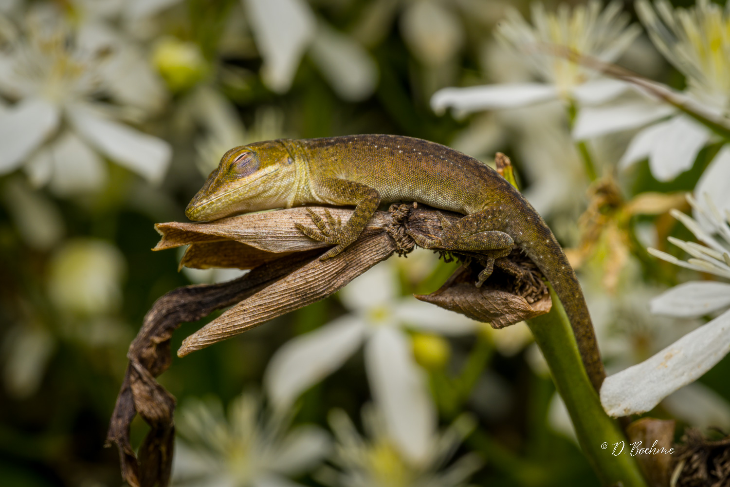 _DSC7804-SharpenAI-Focus-2.jpg
