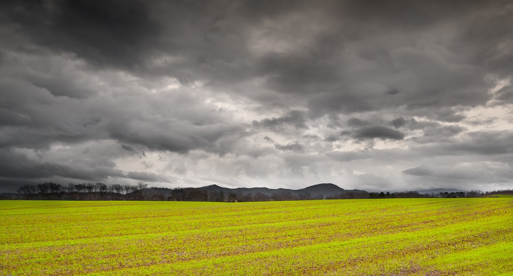 _DSC7820-Edit-2.jpg