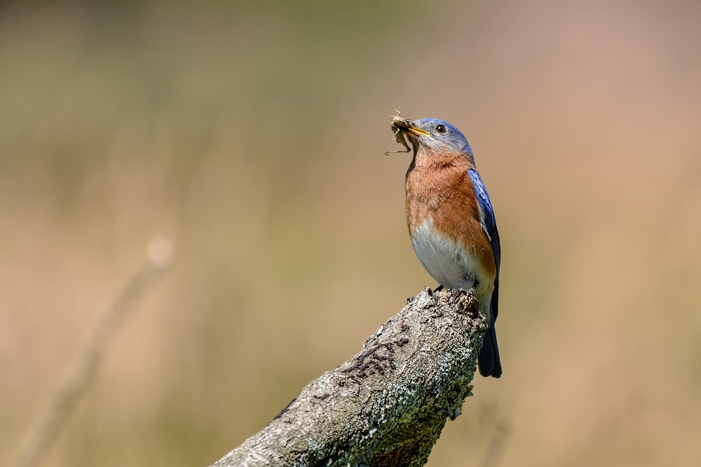 _DSC7841-Edit-2.jpg