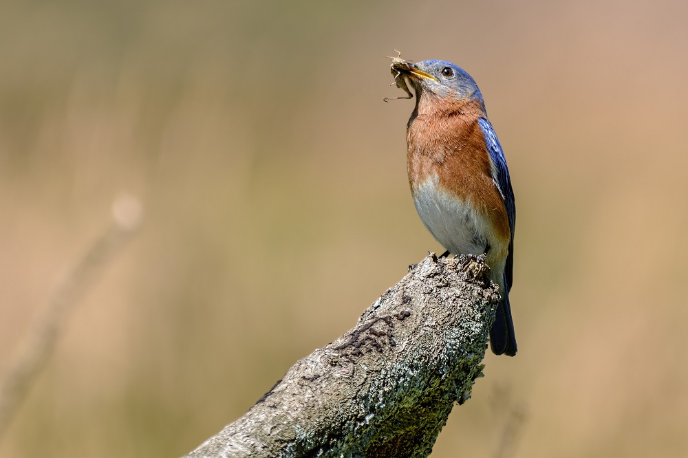 _DSC7841-Edit.jpg