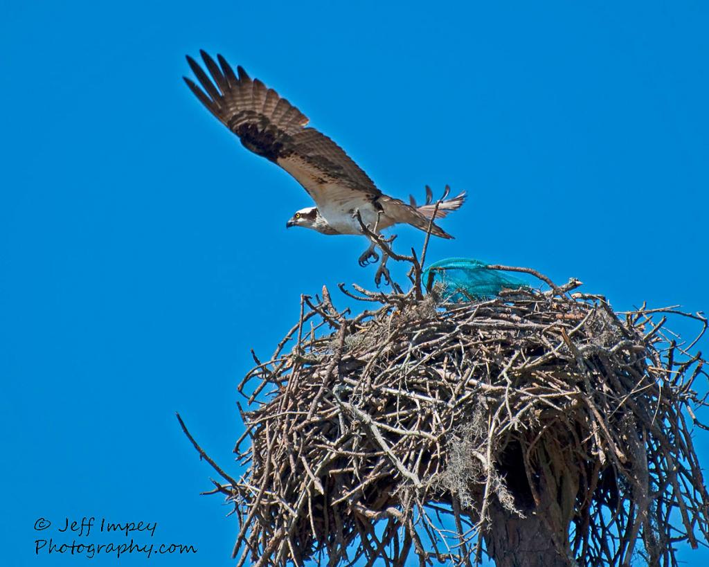 _DSC7841c-978235269-O.jpg