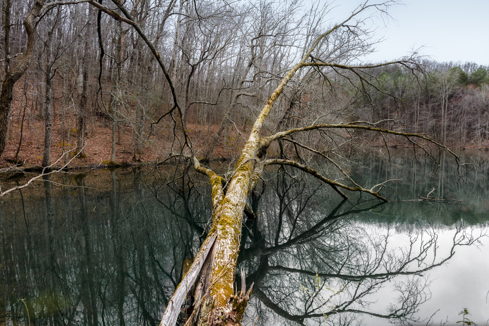 _DSC7993-Edit.jpg